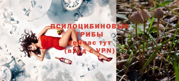 трава Сосновый Бор