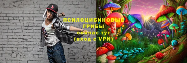 кокаин перу Богородицк
