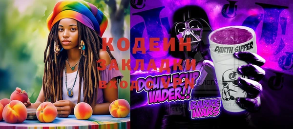 спиды Богданович