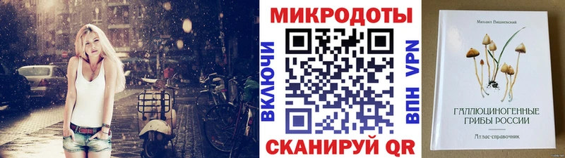 Галлюциногенные грибы Psilocybe  Кинешма 